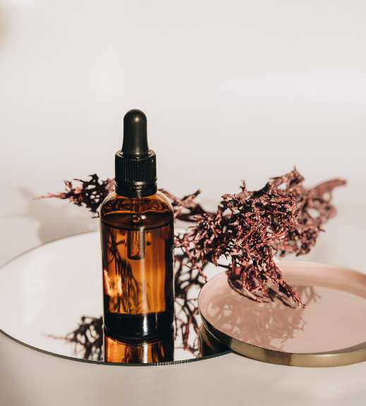 Hair Oil 1