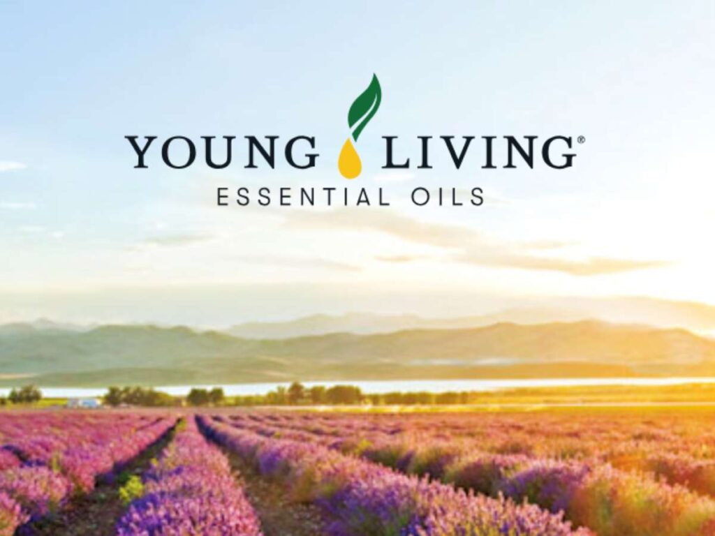 Top 7 Essential Oil Manufacturers in USA 2