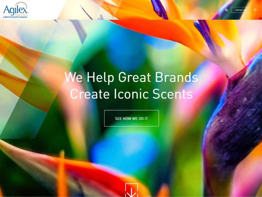 Top 7 Fragrance Oil Manufacturers 11