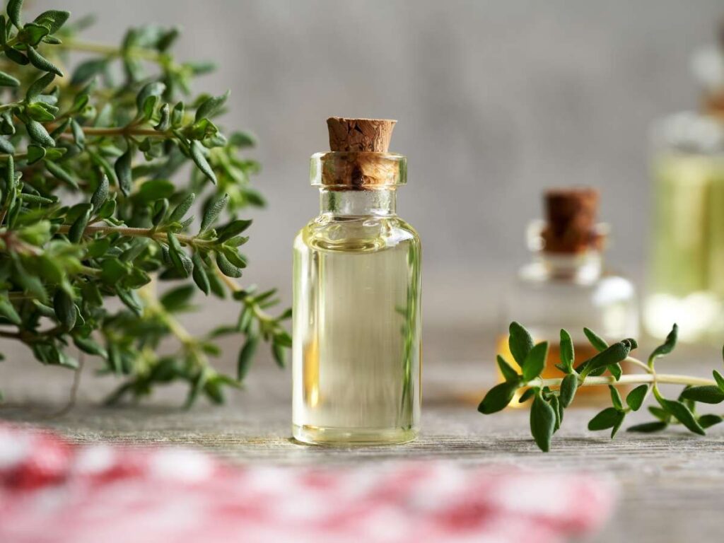 Top 7 Fragrance Oil Manufacturers 6