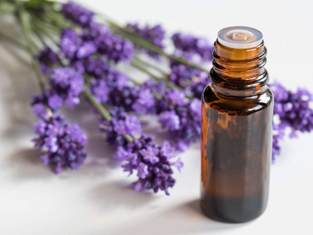 Top 9 Massage Oil Manufacturers 6 Top 9 Massage Oil Manufacturers 6