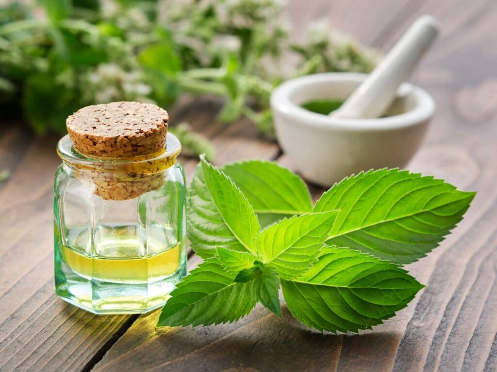 6 Essential Raw Materials for Making Hand Wash 3