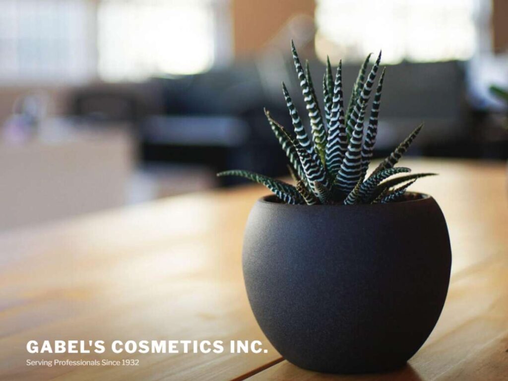 Top 7 Skin Care Manufacturers in Los Angeles 5